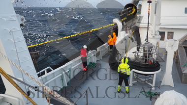 Fiskere makrell 2019, pumpe