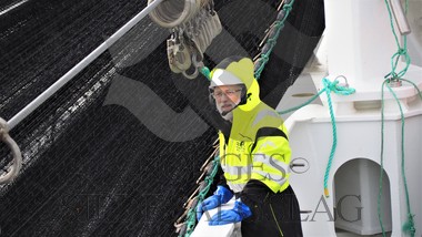 Fiskere makrell 2019