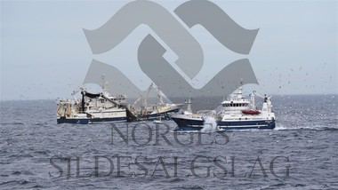 X Selvåg senior og Meløyfjord makrell 2019