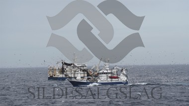 X Selvåg senior og Meløyfjord makrell 2019