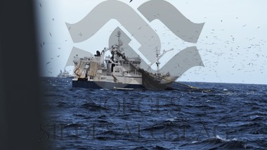 X Selvåg Seniorpå makrellen 2019