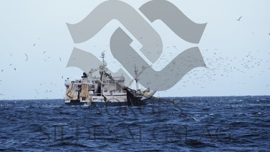 X Selvåg Seniorpå makrellen 2019