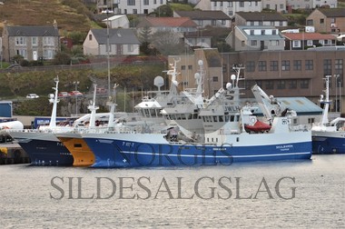 Nordhavet, Skarholmen, Skulbaren Shetland makrell 2019