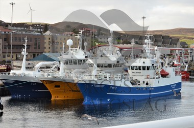 Nordhavet, Skarholmen, Skulbaren Shetland makrell 2019