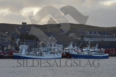 Stormfuglen, X paul senior Shetland makrell 2019