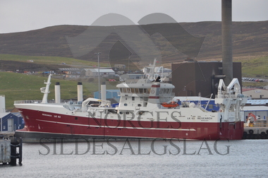 Research Shetland makrell 2019