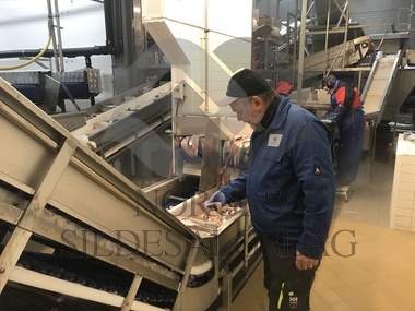 Helge kontroll senjahopen