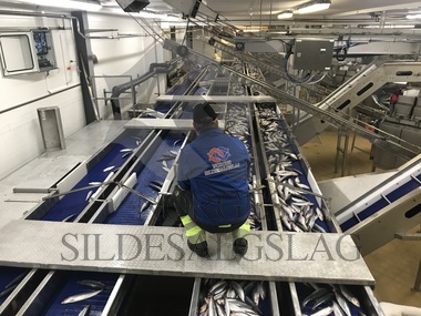 Helge kontroll senjahopen