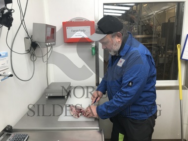 Helge kontroll senjahopen