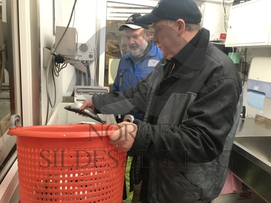 Helge kontroll senjahopen