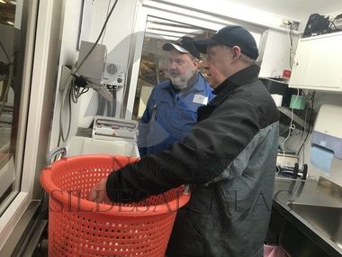 Helge kontroll senjahopen