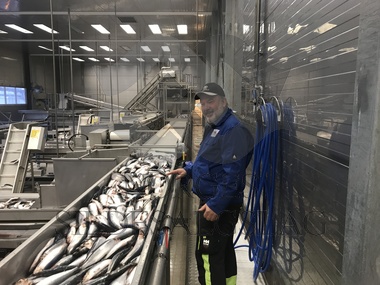 Helge kontroll senjahopen