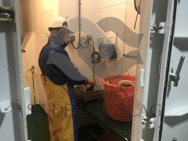 Lås Kvænangen prøvetaking