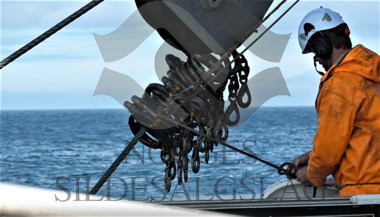 Fiskere strand senior