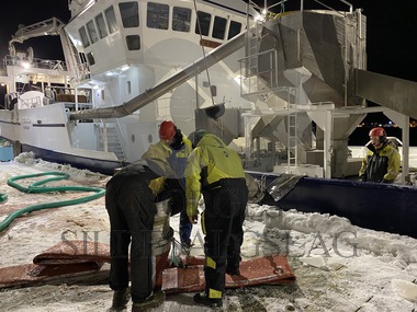 Trygvarson losser pelagia tromsø