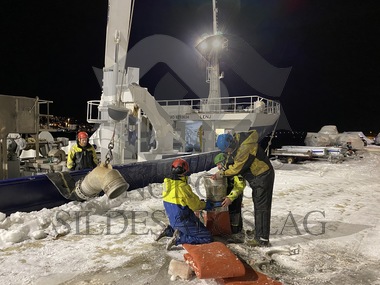 Trygvarson losser pelagia tromsø