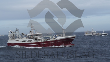 Fra makrellfiske 2019