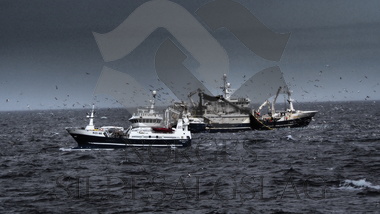 Fra makrellfiske 2019