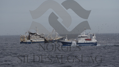 Fra makrellfiske 2019