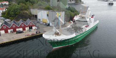 Røttingøy matjes egersund 2020