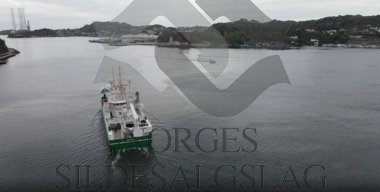 Røttingøy matjes egersund 2020