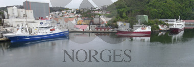 Ståløy, storeknut matjes egersund 2020