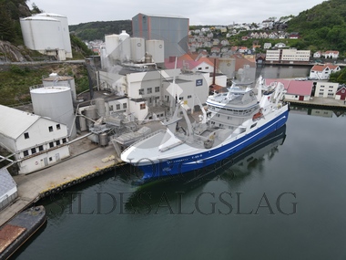 odd lundberg pelagia sildeoljge egersund