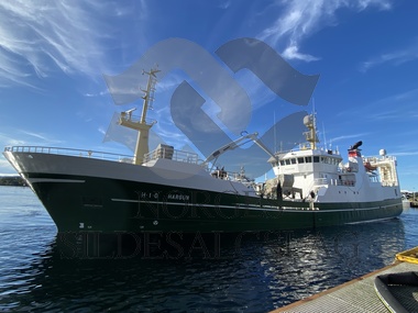 X hargun global florø