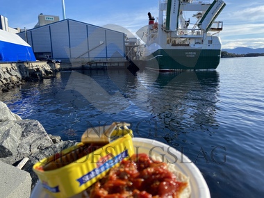 Global Florø X Hargun makrell lossing