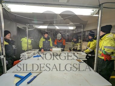 Lodde prøve drill med Rødholmen og Ingrid Mayala 