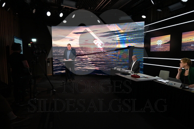 årsmøte 2021 sekreteriat