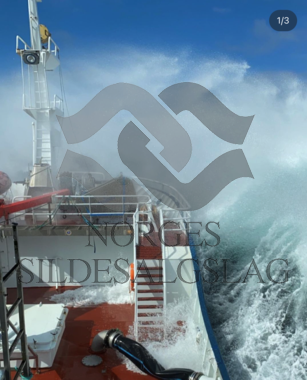 Sille Marie Makrell baug bølge vær