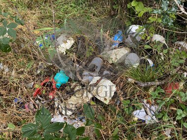 Strandrydding Hardanger 2022