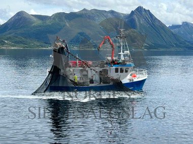 Elias H-2-0 på makrellen 2024