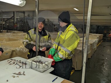 Lodde prøve drill med Rødholmen og Ingrid Mayala 