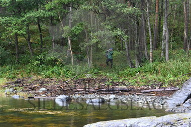 Strandrydding Hardanger 2022