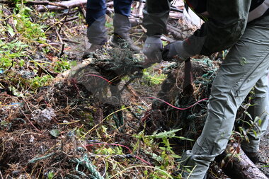 Strandrydding Hardanger 2022