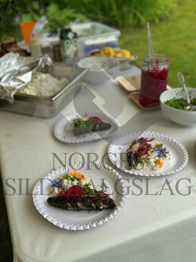 Sommermat, pir, Hardanger Gastronomiske Symposium 2024