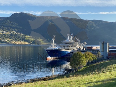 Libas lossing makrell