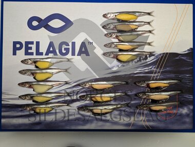 Lodde prøve drill med Rødholmen og Ingrid Mayala 