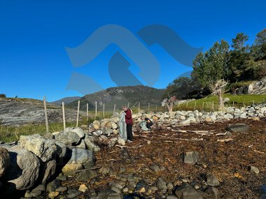 Kvamsøy - Rein Hardangerfjord 2024