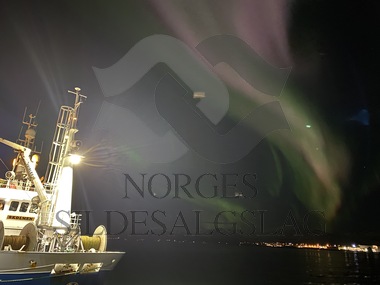 Tromsø, Skolmen, Nordlys