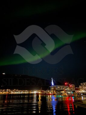 Tromsø nordlys