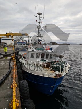 Hestmakrell Kameraten