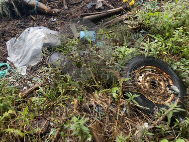 Strandrydding Hardanger 2022