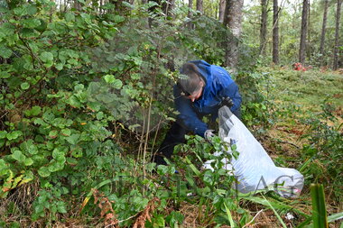 Strandrydding Hardanger 2022