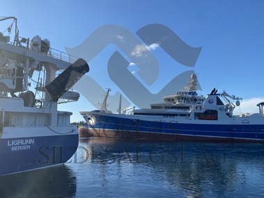 ligrunn libas lossing