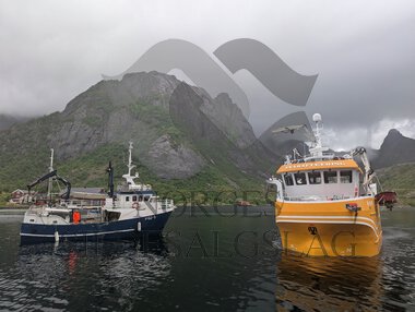 Bogaskjær og Snarsetværing