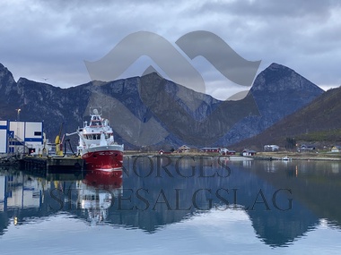 Lossing til kai, pumpe