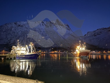 NVG januar 2023 lossing